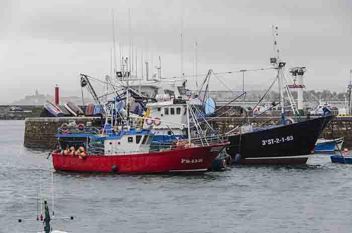 Guipúzcoa - Hondarribia 29 - puerto pesquero.jpg